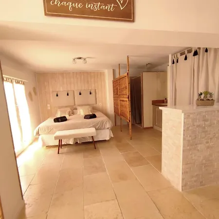 Studio Alpilles Avec Parking Et Spa Privatif Tarascon Exterior photo